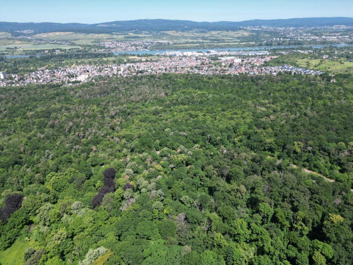 Ferienhaus Budenheim Kültér fotó